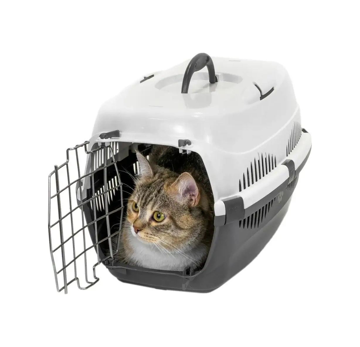 Pettails Plastik Kedi Taşıma Kafesi, Hayvanlar İçin Metal Kapılı 27566028