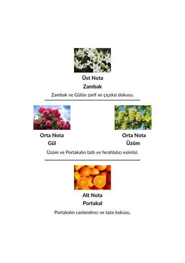 Alescia St-102 Kadın Parfüm EDP 50 ML