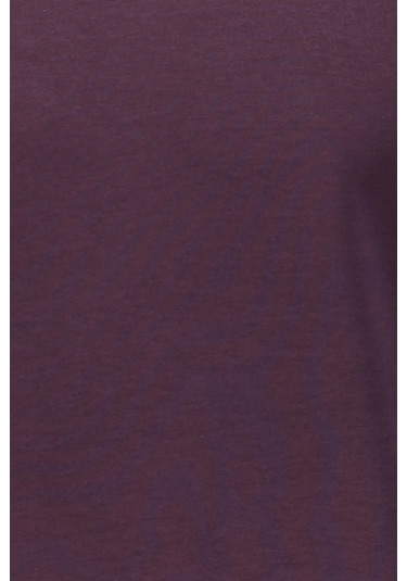 First Company Erkek Sweat 2420109025 Mürdüm