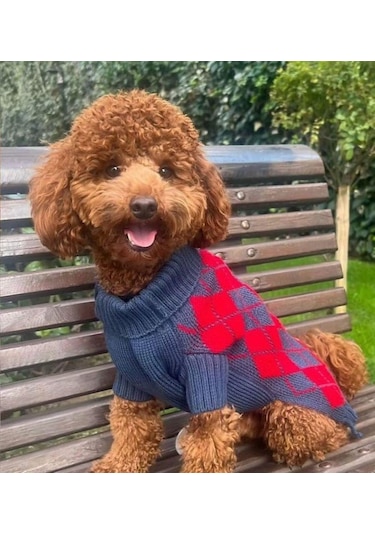 Miniş Kırmızı Baklavalı Küçük Köpek Kazağı