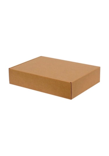Kraft Kilitli Kargo Kutusu / Ebat: 30x20x5 cm (100 adet)