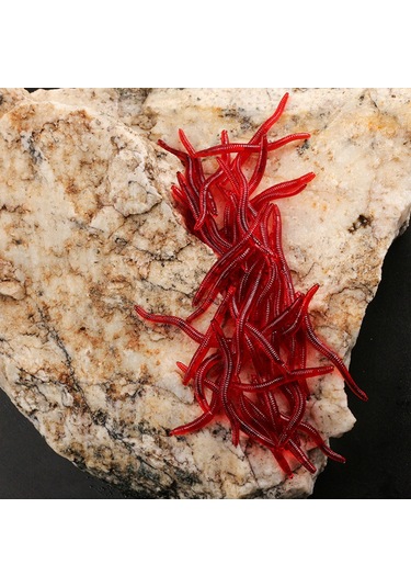 MSO Olta Balıkçılık Cezbedici Kokulu Silikon Solucan Yapay Yem