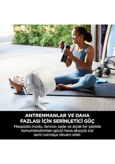 Shark FlexBreeze Portatif Fan