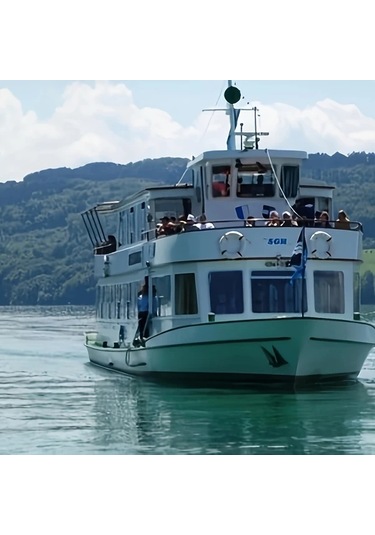 Fochsia 2 Adet 120db Kara Taşıtları Korna Seti Siyah Motosiklet Tekne Kamyon Çok Sesli