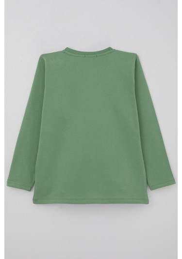 Breeze Erkek Çocuk Uzun Kollu Tişört Cool Yazı Armalı Cepli 4-8 Yaş, Mint Yeşili Mint Yeşili