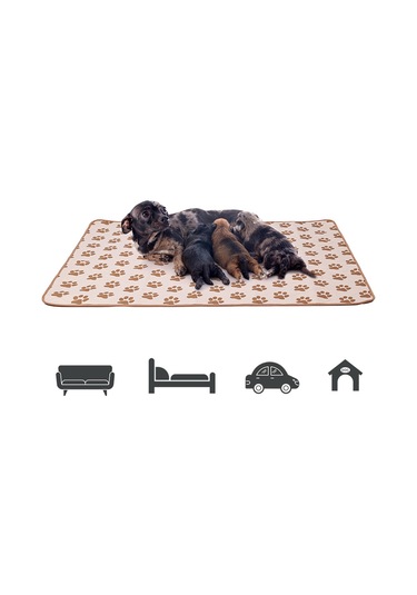 Homyl Kalınlık Köpek Eğitim Pedi Piddle Lazımlık 46cmx36cm