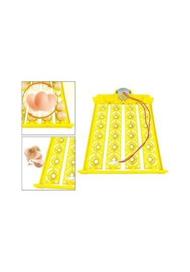 Pazly Yumurta Yumurta Tepsisi Tavuk Suntek Otomatik Çevirme 24 Cx