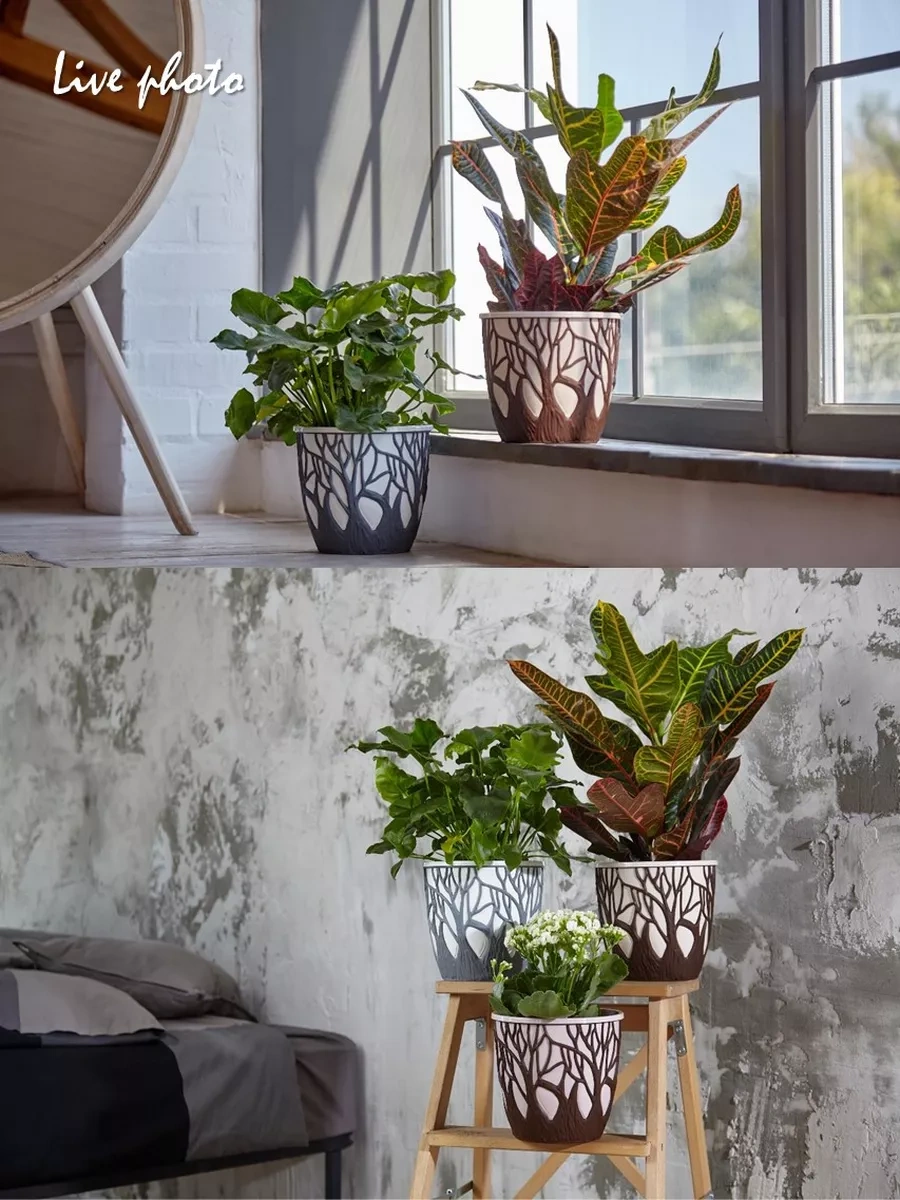 La Decoro İç Mekan Çiçekleri İçin Saksı, Çiçek Saksısı, Saksı 182779004