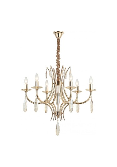 Lucea Pescarı 6 Lı Altın Avıze 6xe14 Çok Renkli