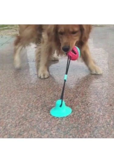Raikou Köpek Diş Kaşıma Isırma Aparatı İnteraktif Yemek Oyuncağı