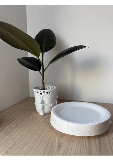 Euecopack Kağıt Tabaklar Tek Kullanımlık 23 Cm 100 Adet 338337188 100