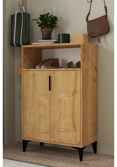 1203 Ada Ayakkabılık 4 Raflı 2 Kapaklı Çok Amaçlı Dolap Safir Safir