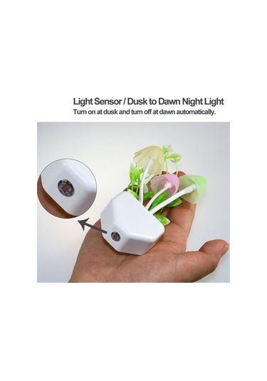 Ruicoo Renk Değiştiren Led Gece Lambası - Otomatik Açma/kapama, 0.6w Enerji Tasarruflu Dekoratif Işık Çok Renkli