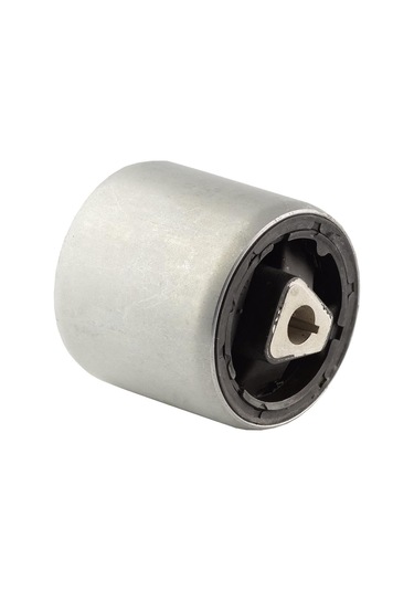 Bmw X5 Serisi E53 3.0d Salıncak Burcu