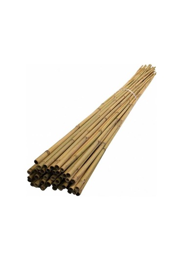 Fidan Destek Çubuğu Kamış ucu Sivriltilmiş 140-150cm 25  Adet