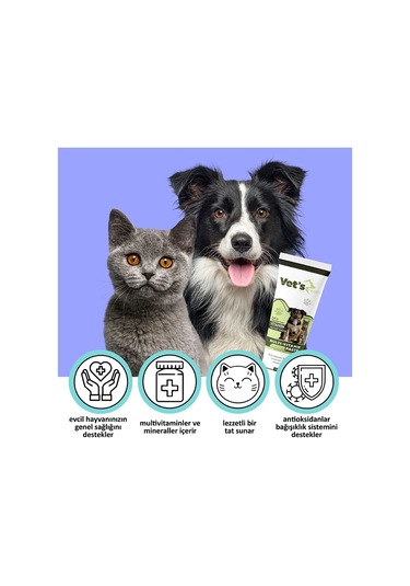 Vet's Health Anti Hairball Paste 100 G + Multivitamin Paste 100 G