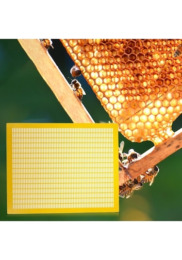 Pazly Suntek Sarı Pratik Kraliçe Dışlayıcı Çerçeve Arı 10 Hs