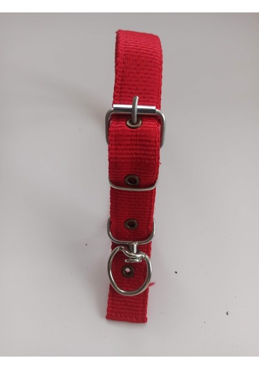 Kozaklı Orta Irk Köpek Tasması Kırmızı 60 x 3 CM