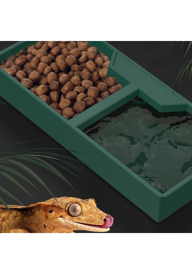 Homyl Besleme Kabı Su Tabağı Amfibi Aksesuarları Çok
