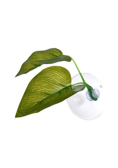 Xiyyadms Akvaryum Yeşil Yapraklar - Balıklar İçin Doğal Dinlenme Ve Yumurtlama Alanı 2 Yaprak