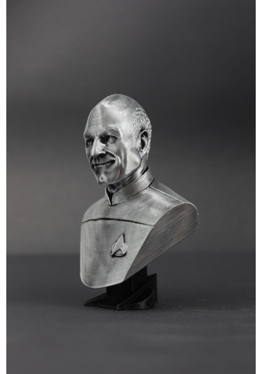 Picard - Star Trek - Figür / Büst - 12cm