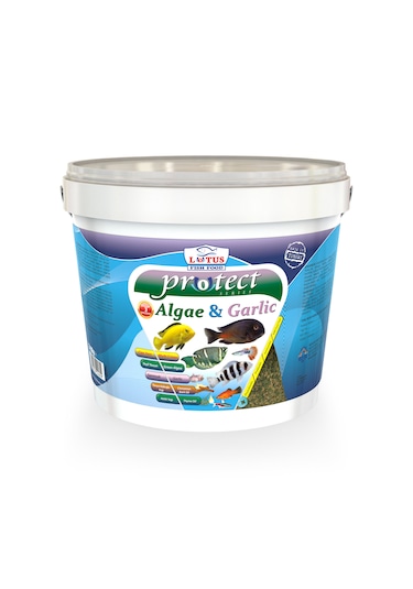 Lotus Protect Algae Garlic Kova Balık Yemi 2400 G