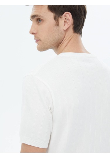 Kip Ekru Hakim Yaka Jakarlı Triko Çok Renkli