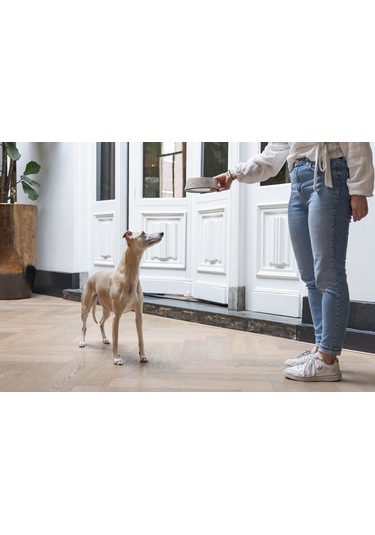 Beeztees Dbl Köpek Mama Su Kabı, Mat Altın Rengi Paslanmaz Çelik, Bej Mermer Görünümlü, 17,5cm, 350m