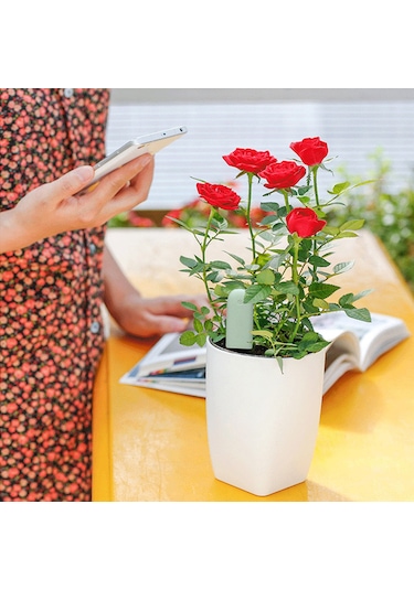 Geeroyoo Akıllı Bitki Toprak Test Cihazı - 4'ü 1 Arada Nem, Işık, Sıcaklık Ve Besin Ölçer Not: 111 Karakter Sınırına Uygun Olarak 98 Karakterdir