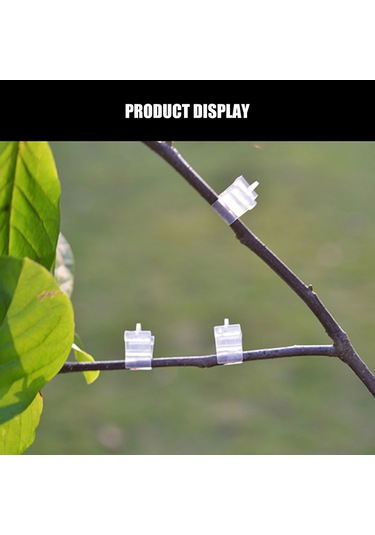 Symbee Bahçe Bitkileri Aşılı Klembi - Reusable Pe Malzeme - 2-4.5mm Fıtö Sağlar - Şeffaf Görünüm - Domates Salatalık Fidanı İçin - 100 Adet/paket