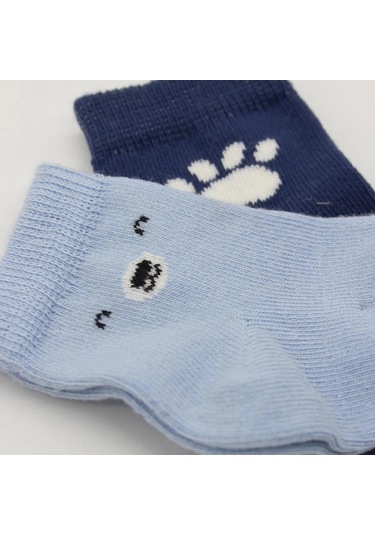 Bistyle Bear Penye Soket Çorap 2'li Bs10116 Mavi Mavi