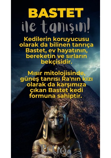 Petjoo 1.Bastet Gri-Sarı Qr'lı Kedi Künyesi