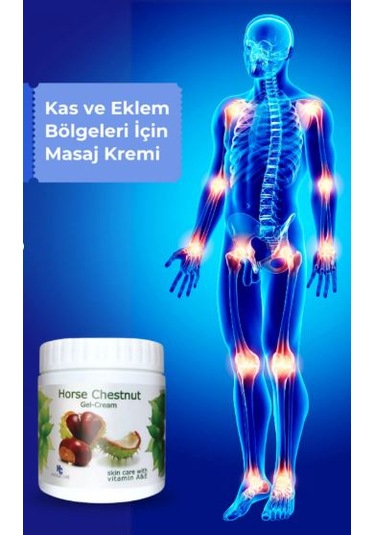 Celestıque At Kestanesi Jeli Kas ve Eklem Masaj Kremi 4 x 500 ML