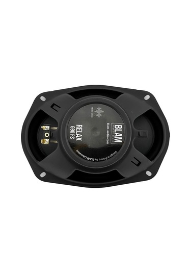 BLAM 690RS Oval Komponent Hoparlör