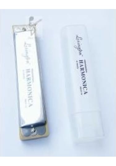 Lexington Professional Harmonica C do - Mızıka - 24 Delikli