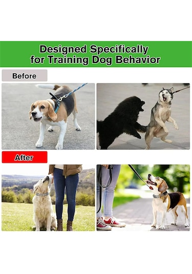 Leezsingköpek Çivili Tasma, Hızlı Çıkarılabilir Tokalı Ve Ayarlanabilir Uzunluğa Sahip Köpek Çimdik Eğitim Tasması-16