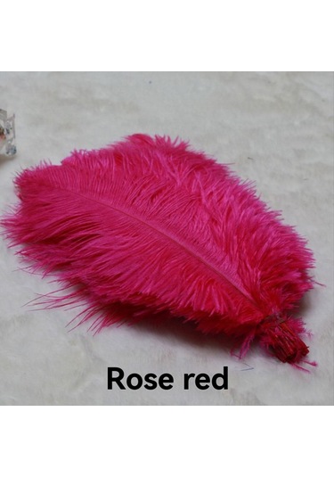 Gatherco 20-25 Cm Devekuşu Tüyleri Sahne Performansları Tüyleri El Yapımı Kendin Yap Takı Süslemeleri Devekuşu Tüyleri Gül Kırmızısı