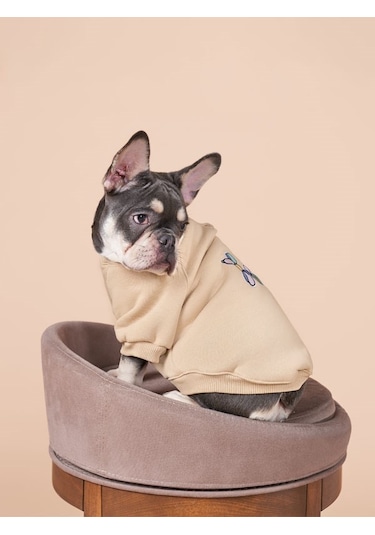 Balloon Küçük ve Orta Irk Köpekler İçin Köpek Sweatshirt