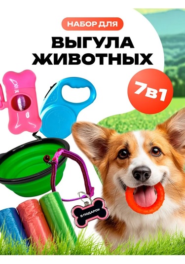 Great Bro Köpek Gezinti Ve Eğitim Aksesuarları 391593655 Diğer