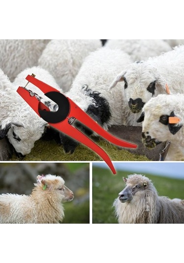 Carrier- Moda Trendleri Koyun Ve Sığır Kulak Küpesi Takma 1 Adet