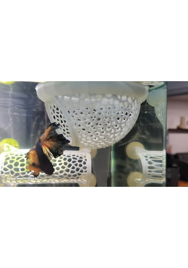 Akvaryum Için Yüzen Saklama Alanı Betta Balığı Için Gizlenme Ka