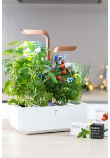 Veritable Véritable Smart White Copper Akıllı Iç Mekan Bitki Yetiştirme Sistemi Hobi Bahçesi Çok Renkli