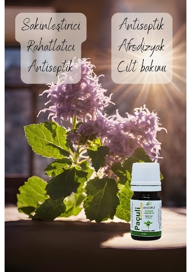Einnatur Paçuli Uçucu Yağı %100 Saf Pogostemon Cablin Essential Oil 5 ML