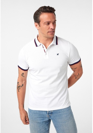 Javeir Erkek Regular Fit Çizgi Detaylı Polo Yaka T-shirt Beyaz