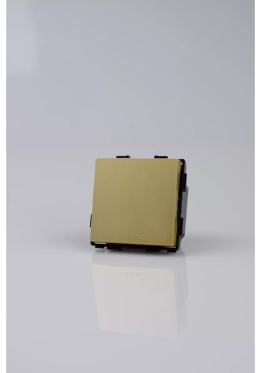 Vo'stabl Geçiş Anahtarı, Altın Mekanizmalı, Tek Tuşlu 220774411