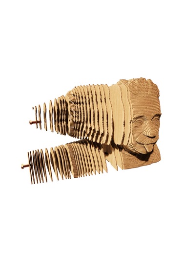 Cartonic 3d Puzzle - Albert