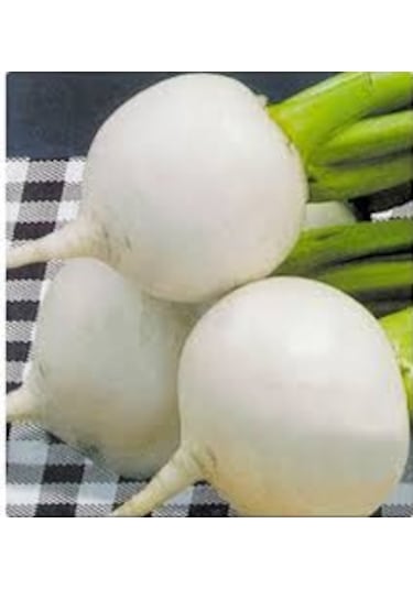 Beyaz Turp Tohumu Arzuman