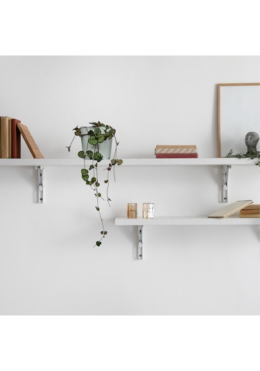 Kalp Kalbe Karşı Çiçeği Ceropegia Woodii - Beyaz Saksılı