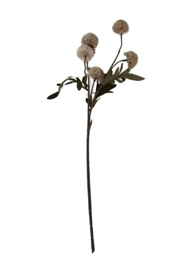 T.concept Yapay Yıldız Çiçeği Tek Dal Vizon 50 Cm