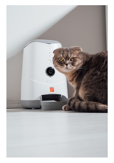 Otomatik 1080p Kameralı Mama Kabı Uzaktan Wifi Kontrollü